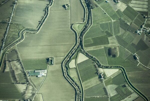 bird's eye view of area